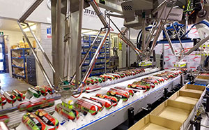 Next generation production line for Pets Choice