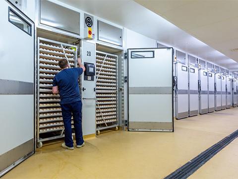 Accurate solenoid valves help hatchery achieve quality and uniformity