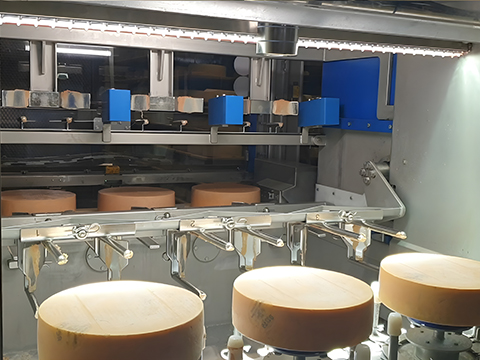 Revolutionising cheese production with AI and machine vision