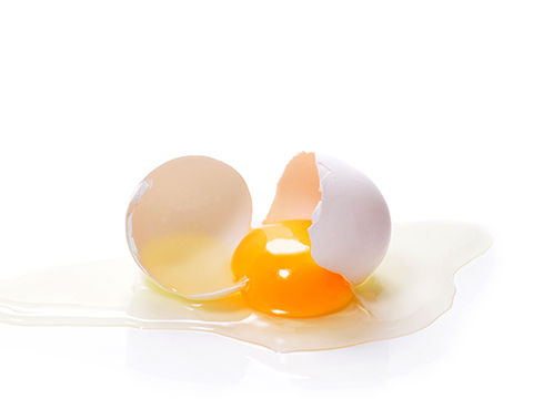 From shell to shelf: top tips for processing egg products