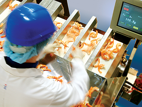 Ishida Europe returns to PPMA Total to help food manufacturers with automation and sustainability