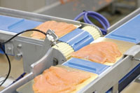 Smart hygienic solutions for the food industry
