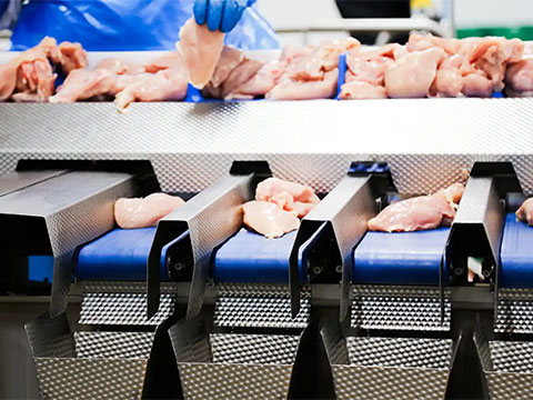 Tray packing automation helps poultry specialist KILOM remain competitive