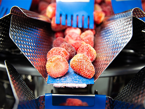 Ishida weighing consistency helps increase production capacity at AgroAguiar