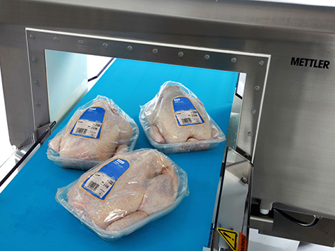 Understanding critical control points for better contaminant detection