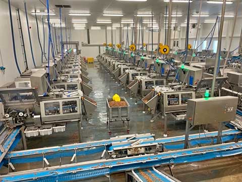 Optimising production processes with WERMA LED signal towers