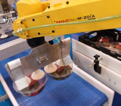 Case-loading methods for retailers and food factories at Foodex