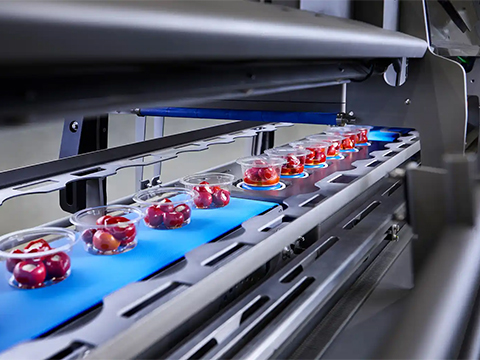 Ishida Europe to showcase latest innovations at Interpack 2026