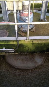 Drives reduce energy, and cut maintenance and ammonia discharge