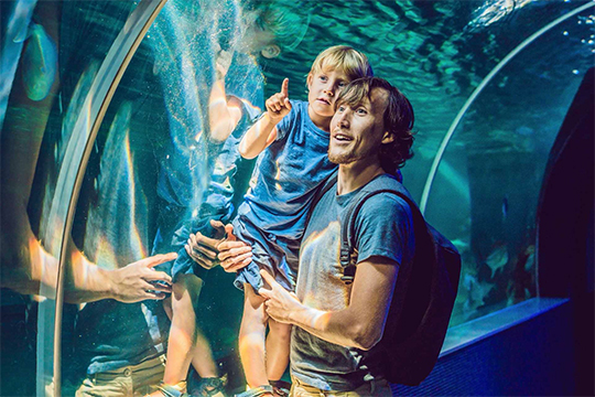 Schneider Electric partners with ELSS group to improve aquarium sustainability