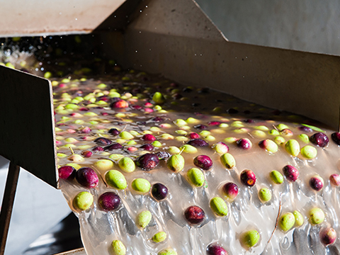Three things to look for in food grade pumps