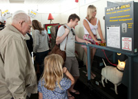 UK tourism booms with PLC magic