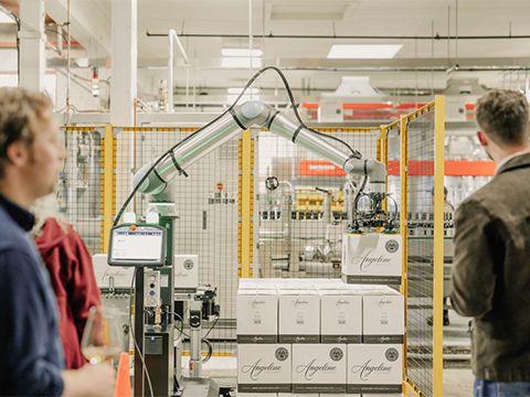 From Champagne to Napa Valley: The beverage palletising shift is accelerating