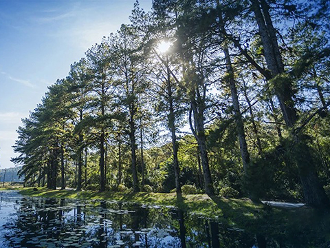 WEG reinforces its commitment to sustainability