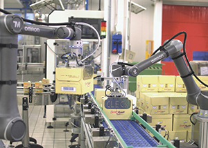 Cobots help businesses address labour shortage