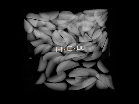 Improving contaminant detection with dual energy x-ray and photon counting