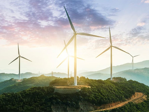 Schneider Electric Named a Leader for Energy Transition Professional Services