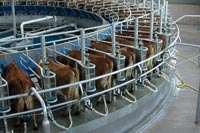 Hydraulic power for innovative milking systems