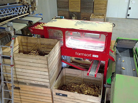 Camera technology enables precision potato sorting