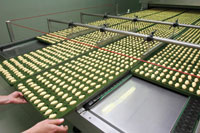 Smart Condition Monitoring heralds an end to downtime
