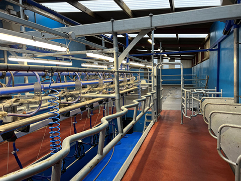 Safeguarding dairy operations with manual overrides in three-phase systems