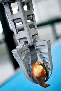 Getting to grips with the bionic FinGripper