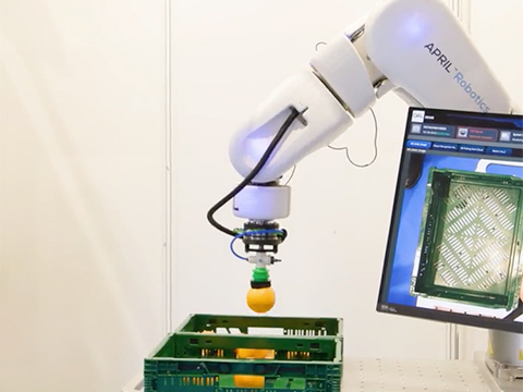 Automation and robotics in food manufacturing